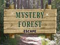 Permainan Mystery Forest