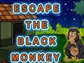 Permainan Escape The Black Monkey