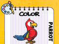 Permainan Color Parrot