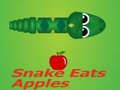 Permainan Snake Eats Apple