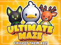 Permainan Ultimate Maze! Collect Them All!