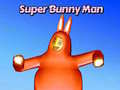 Permainan Super Bunny Man