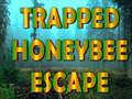 Permainan Trapped Honeybee Escape