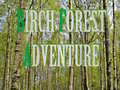 Permainan Birch Forest Adventure