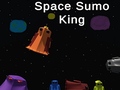 Permainan Space Sumo King