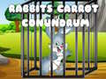 Permainan Rabbits Carrot Conundrum