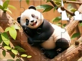 Permainan Jigsaw Puzzle: Panda On Tree