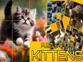 Permainan Puzzle Sliding Kittens