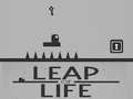 Permainan Leap of Life