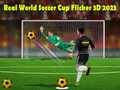 Permainan Real World Soccer Cup Flicker 3D 2023