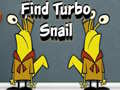 Permainan Find Turbo Snail