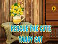 Permainan Rescue The Cute Tabby Cat