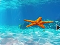 Permainan Escape From Underwater Starfish