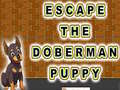 Permainan Escape The Doberman Puppy