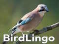 Permainan BirdLingo