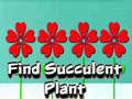 Permainan Find Succulent Plant