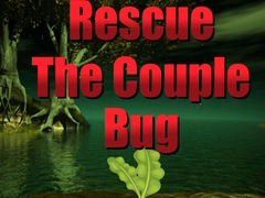 Permainan Rescue The Couple Bug