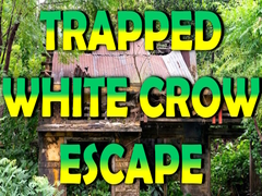 Permainan Trapped White Crow Escape