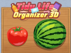 Permainan Tidy Life Organizer 3D