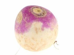 Permainan Turnip