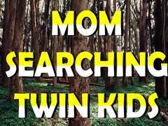 Permainan Mom Searching Twin Kids