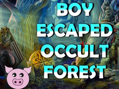 Permainan Boy Escaped Occult Forest