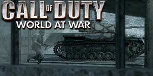 Call of Duty: Dunia dalam Perang 